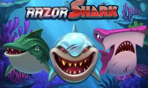 Razor Shark