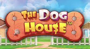 The dog house